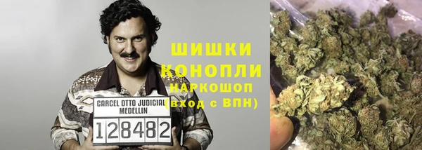 ГАЛЛЮЦИНОГЕННЫЕ ГРИБЫ Корсаков