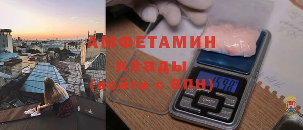 ГАЛЛЮЦИНОГЕННЫЕ ГРИБЫ Корсаков