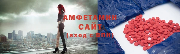 ГАЛЛЮЦИНОГЕННЫЕ ГРИБЫ Корсаков