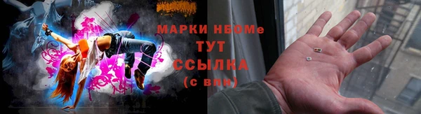 ГАЛЛЮЦИНОГЕННЫЕ ГРИБЫ Корсаков
