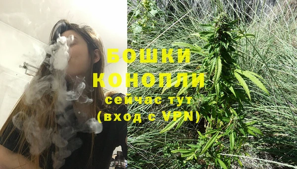 ГАЛЛЮЦИНОГЕННЫЕ ГРИБЫ Корсаков