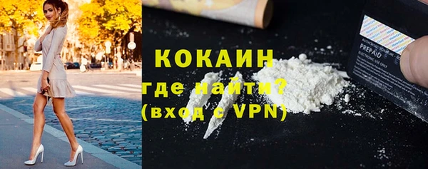дмт Костерёво