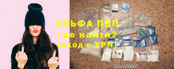 ГАЛЛЮЦИНОГЕННЫЕ ГРИБЫ Корсаков