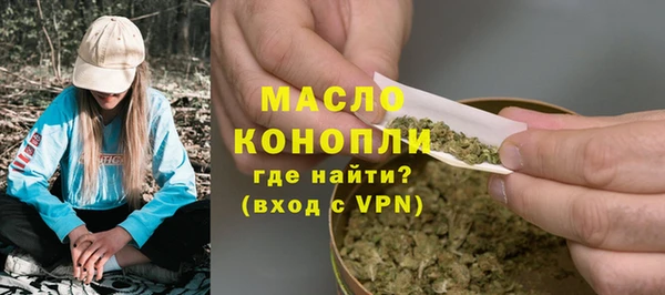 дмт Костерёво