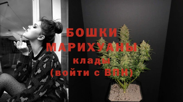 дмт Костерёво