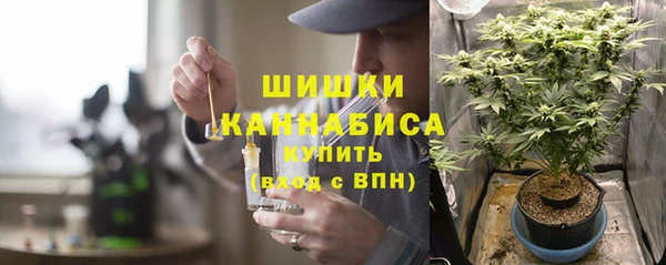 дмт Костерёво