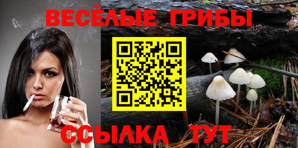 Галлюциногенные грибы Psilocybine cubensis Бердск