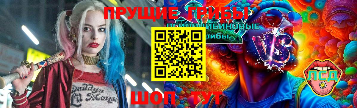 Псилоцибиновые грибы Cubensis  что такое   Галлюциногенные грибы Psilocybine cubensis  Бердск  Вход с VPN 