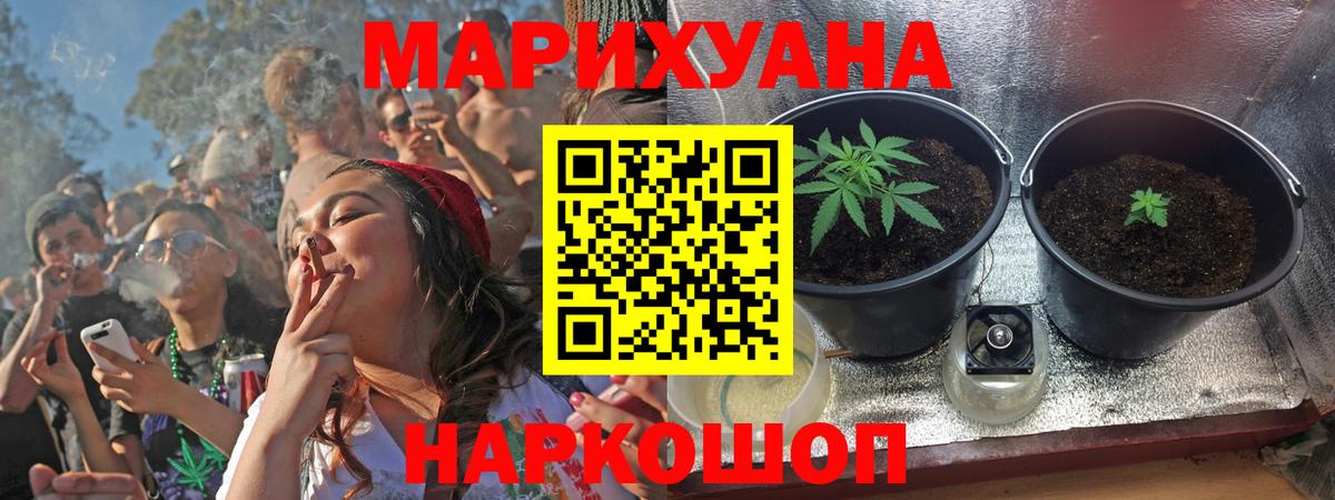 Конопля конопля  Бердск  Канабис марихуана  Бошки марихуана тримм 