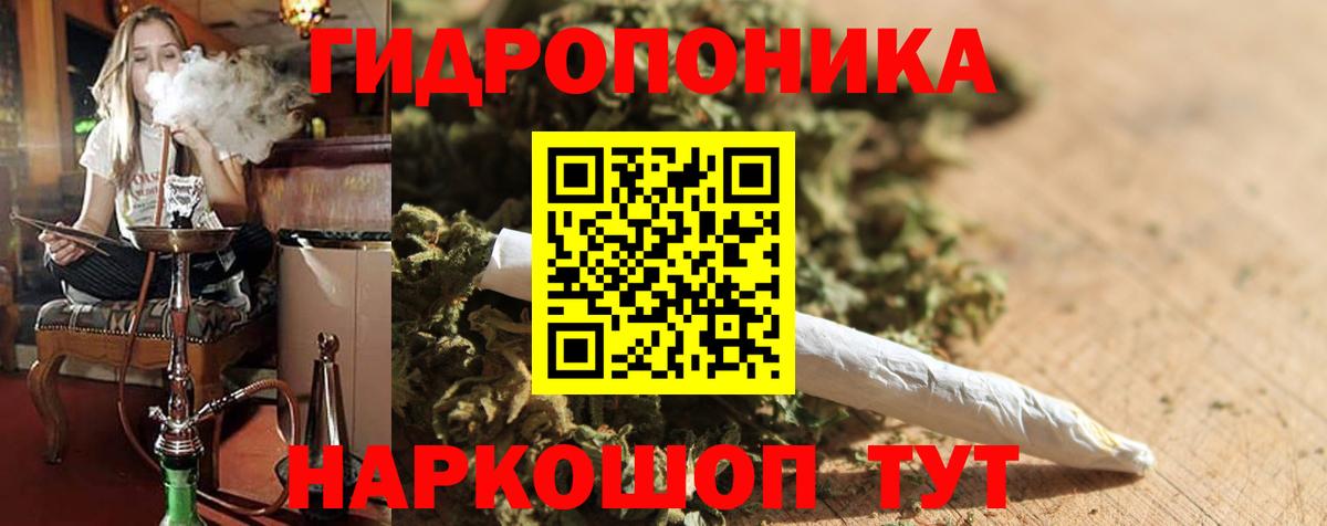Бошки Шишки Amnesia  Вход с VPN  Бошки марихуана индика  Шишки марихуана сатива  Бердск 