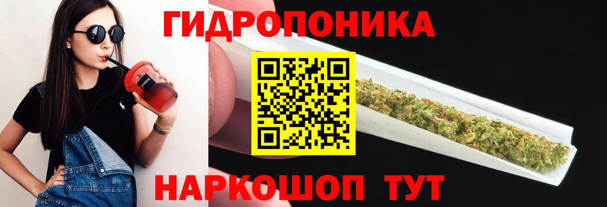 Бошки Шишки Бердск